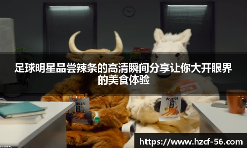 BB贝博官方网站