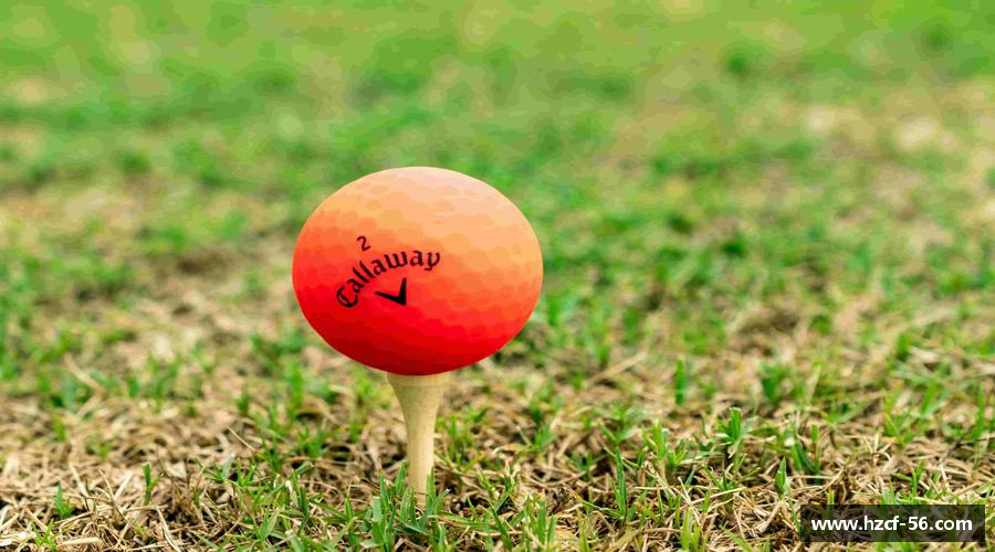 BB贝博艾弗森官方网站力量源自团结，胜利因我们！